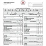 Soccer Report Card Template