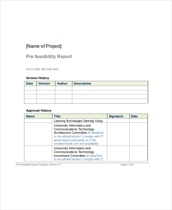 Technical Feasibility Report Template