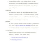 Technical Feasibility Report Template