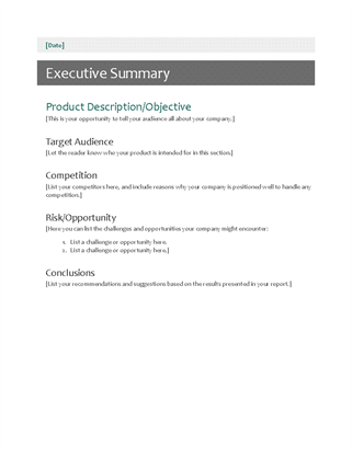 Technical Support Report Template