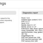 Technical Support Report Template