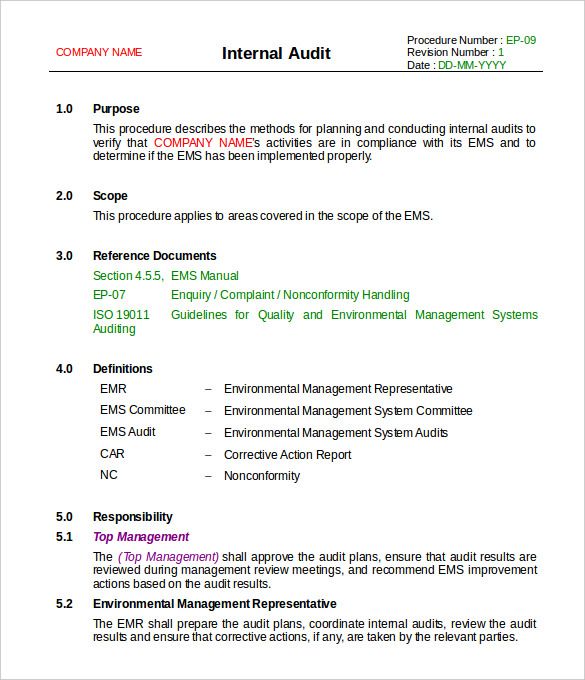 Template For Audit Report