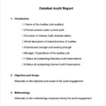 Template For Audit Report