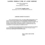Template For Audit Report