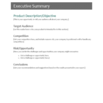 Template For Summary Report