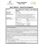 Template For Summary Report