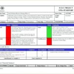 Testing Daily Status Report Template