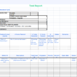 Testing Daily Status Report Template