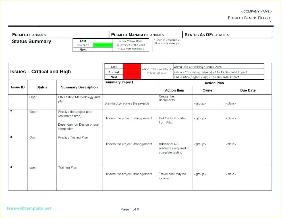 Testing Daily Status Report Template