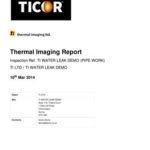 Thermal Imaging Report Template