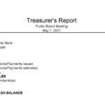 Treasurer Report Template Non Profit