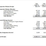 Treasurer Report Template Non Profit