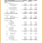 Treasurer Report Template Non Profit