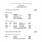 Treasurer’s Report Agm Template