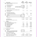 Treasurer’s Report Agm Template