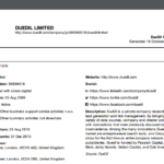 Vendor Due Diligence Report Template