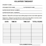 Volunteer Report Template