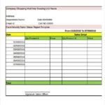 Weekly Status Report Template Excel