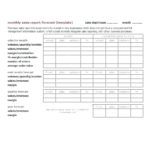Acquittal Report Template