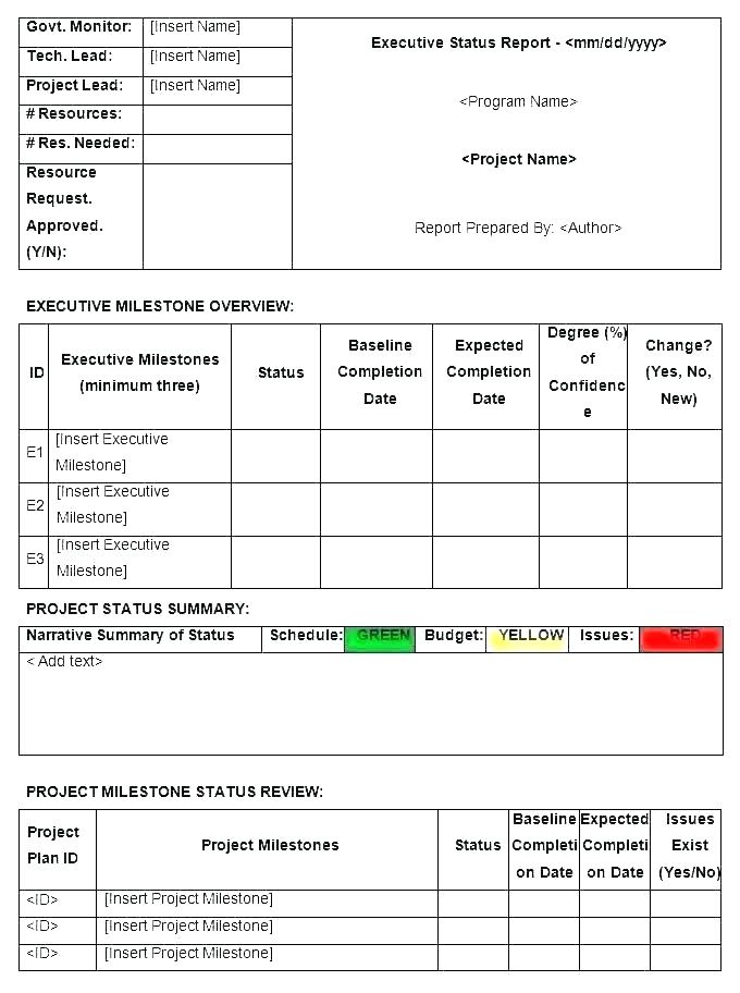 Baseline Report Template