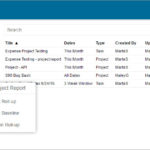 Baseline Report Template