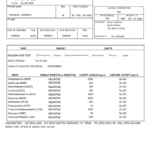 Blank Autopsy Report Template