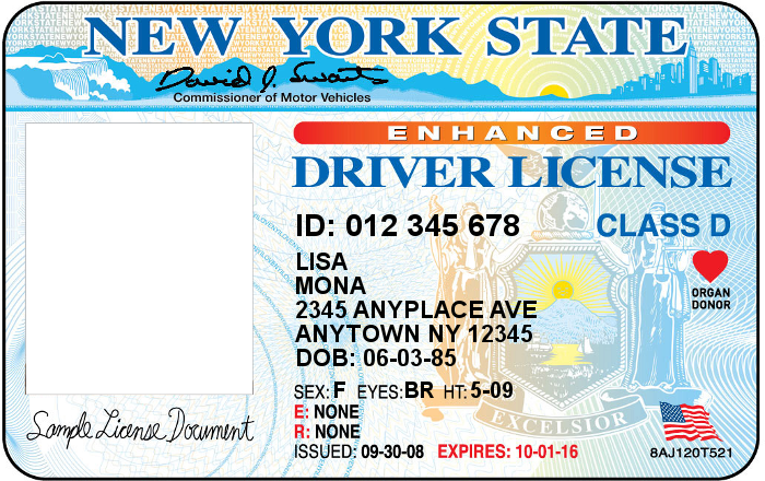 Blank Drivers License Template