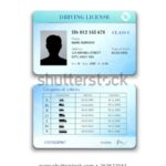 Blank Drivers License Template