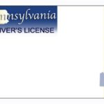 Blank Drivers License Template