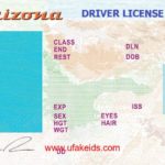 Blank Drivers License Template