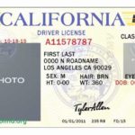Blank Drivers License Template