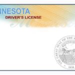 Blank Drivers License Template