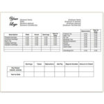 Blank Pay Stubs Template