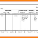 Blank Pay Stubs Template