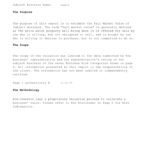 Business Valuation Report Template Worksheet