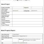 Company Progress Report Template