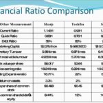 Credit Analysis Report Template