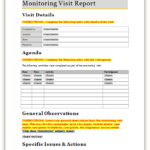 Customer Site Visit Report Template