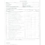 Customer Site Visit Report Template