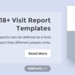 Customer Visit Report Template Free Download