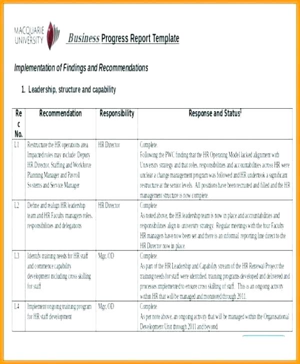 Development Status Report Template