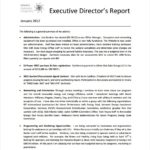 Executive Summary Report Template