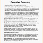 Executive Summary Report Template