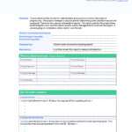 Executive Summary Report Template