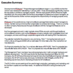 Executive Summary Report Template