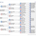 Fill In The Blank Family Tree Template