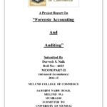 Forensic Accounting Report Template