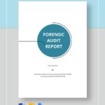 Forensic Accounting Report Template