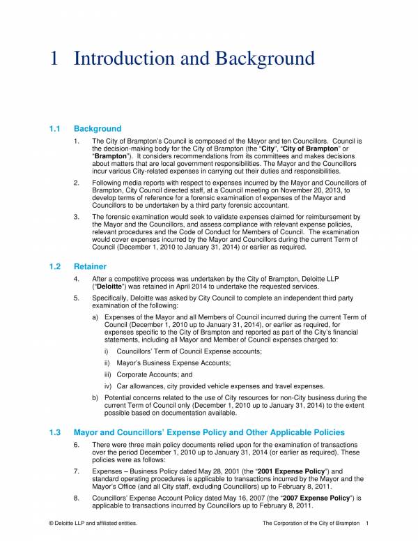 Forensic Accounting Report Template