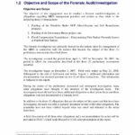 Forensic Accounting Report Template